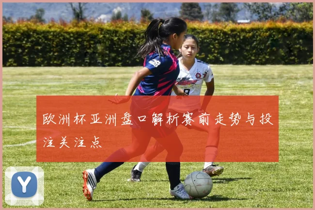 欧洲杯亚洲盘口解析赛前走势与投注关注点